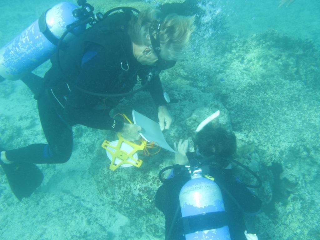 More substrate testing! - OceansWatch © Rachel Agnew